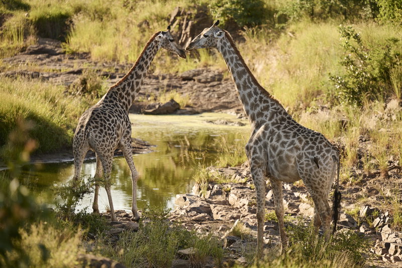 Wonders of Zimbabwe, Victoria Falls, Zimbabwe, photo 2 of 22