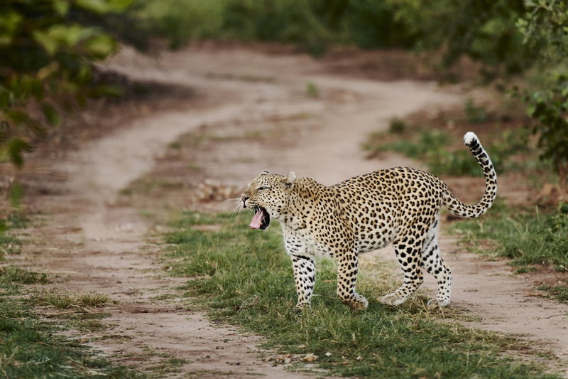Wonders of Zimbabwe, Victoria Falls, Zimbabwe, photo 15 of 22